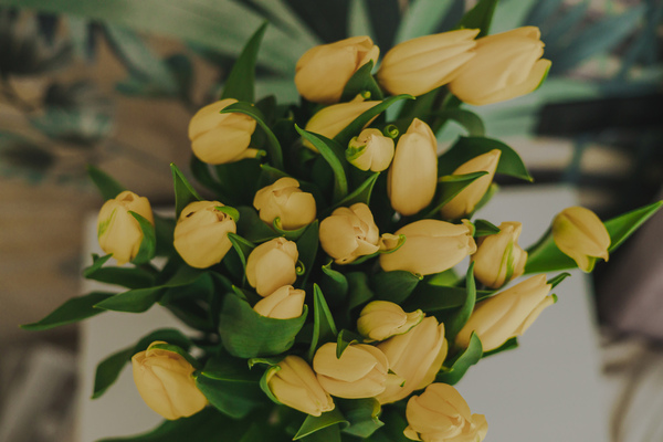 fotograf-na-chrzest-radom-kielce-warszawa-17