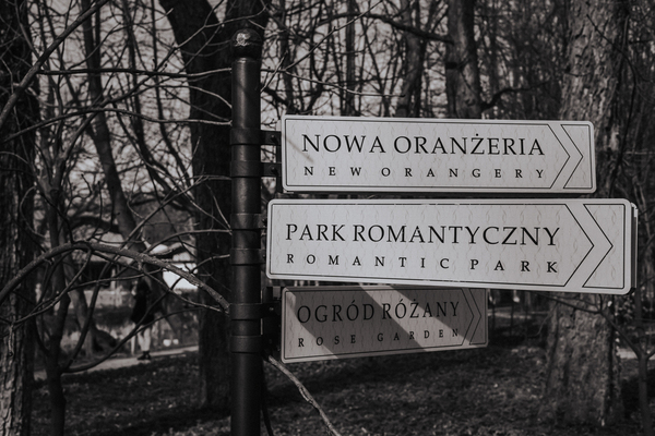 fotografslubnyradomwarszawa12