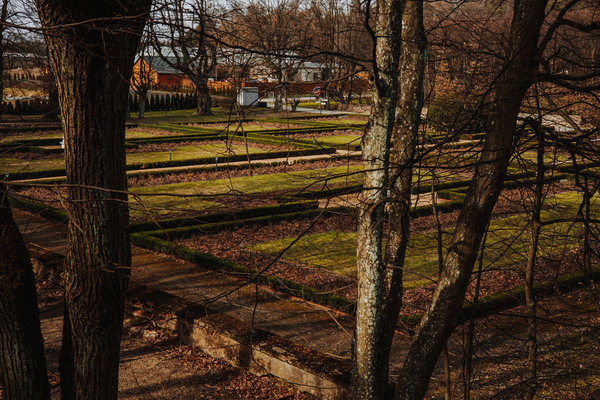 fotografslubnyradomwarszawa16