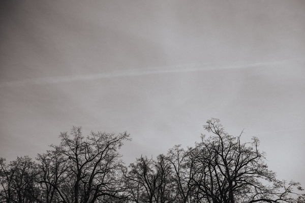 fotografslubnyradomwarszawa1