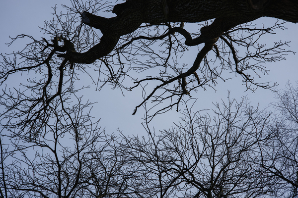 fotografslubnyradomwarszawa10