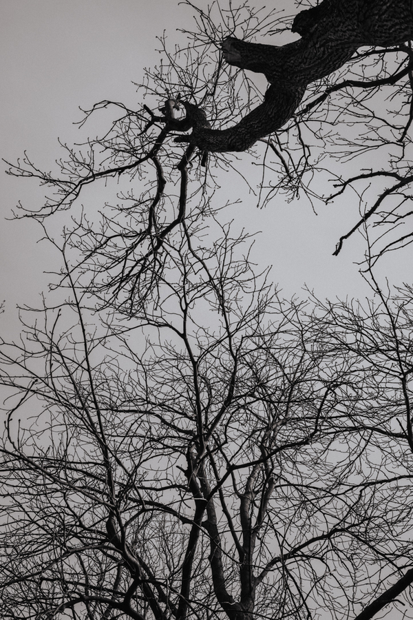 fotografslubnyradomwarszawa11