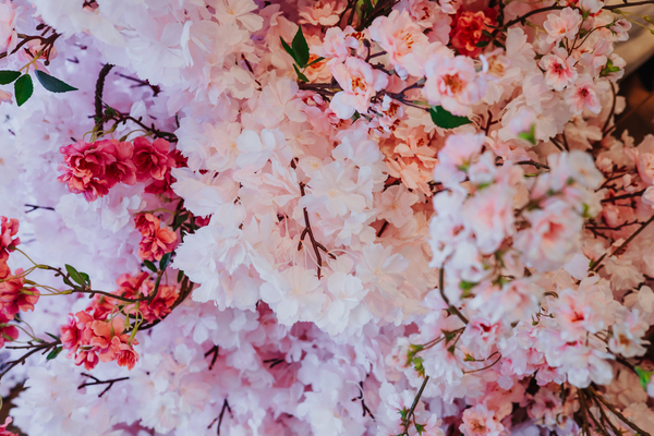 fotografslubnyradomwarszawa114