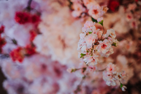 fotografslubnyradomwarszawa115