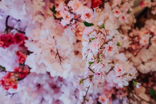 fotografslubnyradomwarszawa113